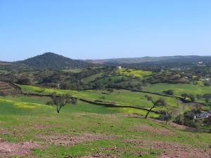 Panoramica Cabezo Juré