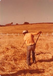 1496687_613607372008366_1126286115_n